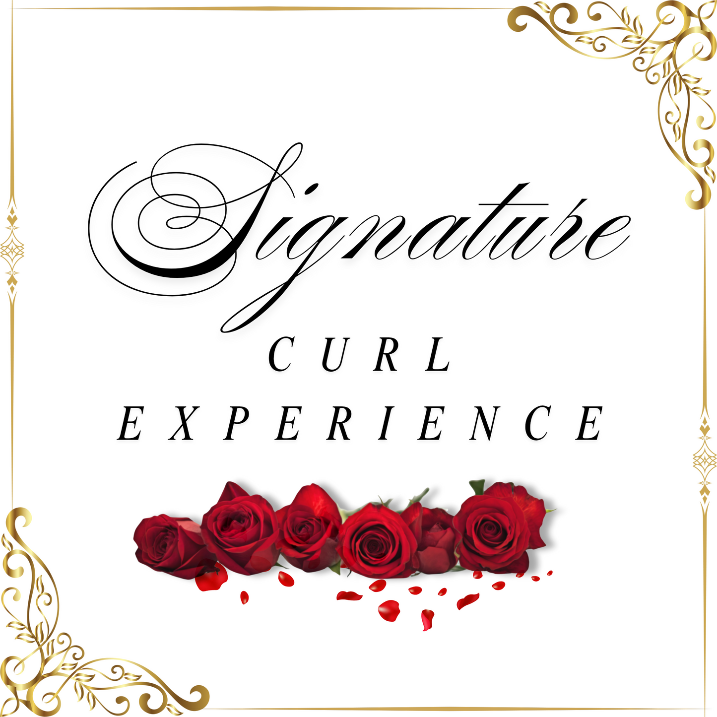 Signature Curl Experience