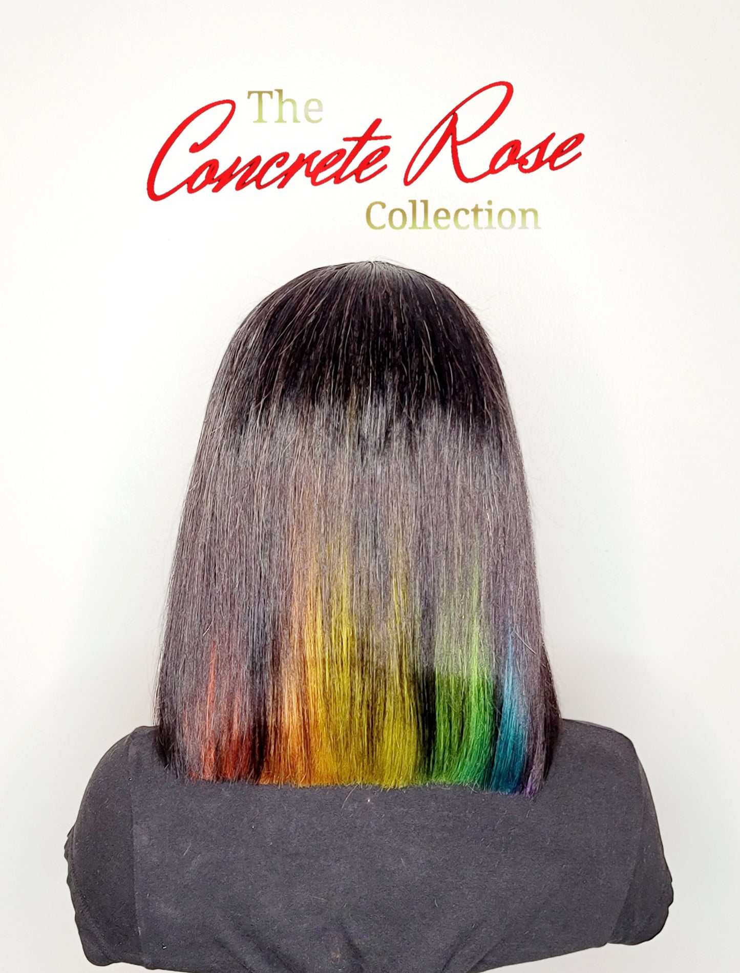 Wig Coloring/Highlights