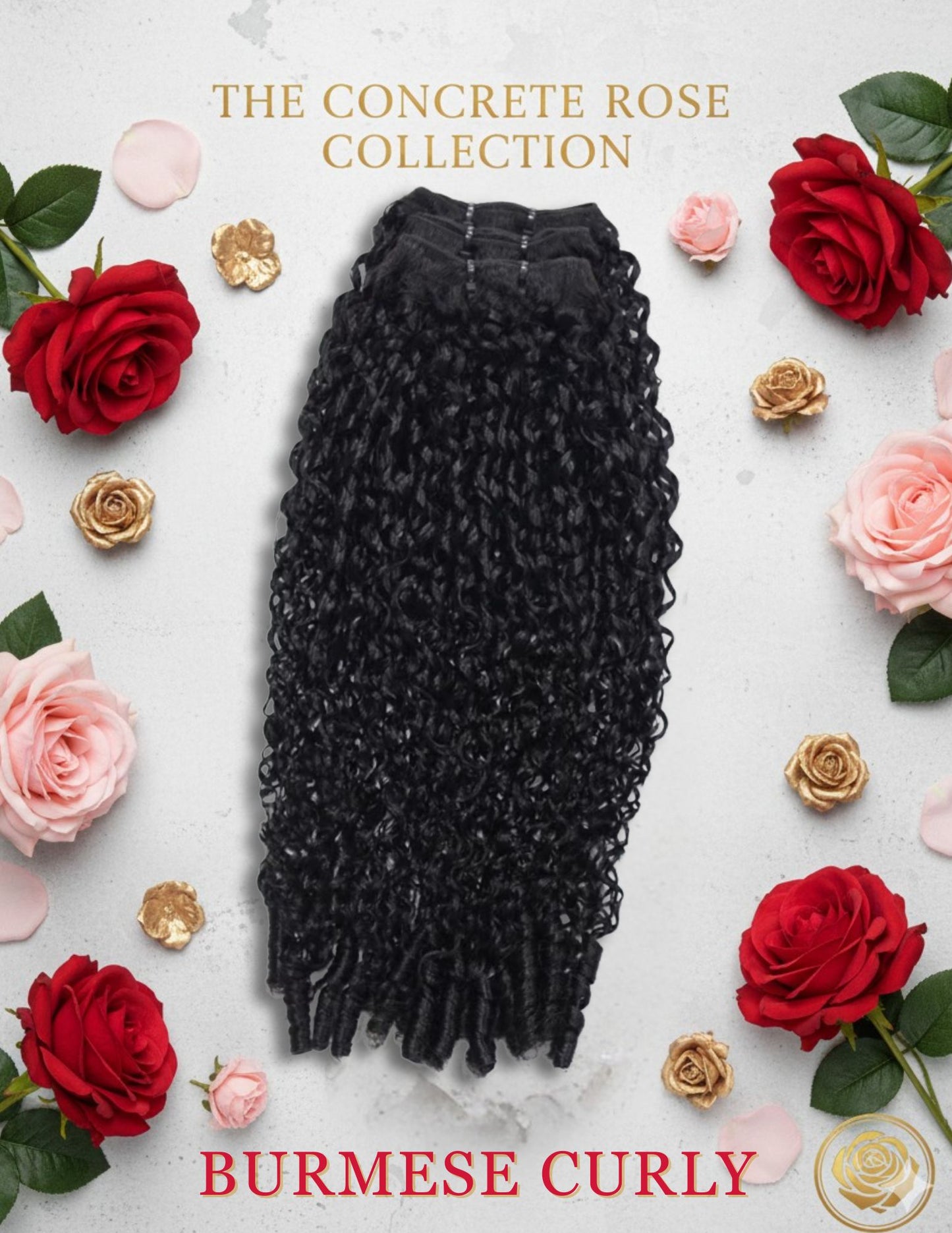 4 Bundle Deal (Straight • Body Wave • Burmese Curly)